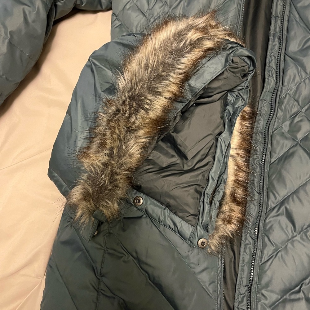 Hood for Eddie Bauer Winter Puffer Coat Size Small